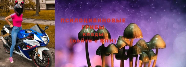 соль курить ск Белокуриха