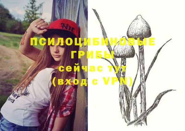 соль курить ск Белокуриха