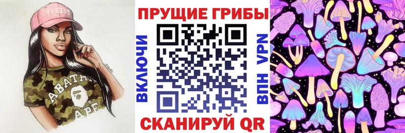 Галлюциногенные грибы прущие грибы  Шилка 